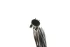Датчик ABS magneti marelli 172100189010