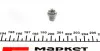 Лампа 24V BAX10D 1.2W GREY (кор.код. PB5 1,2W 24) (пр-во) magneti marelli 003724100000
