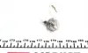 Лампа накаливания H3 12V 55W PK22s STANDART (пр-во) magneti marelli 002553100000