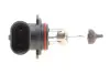 Лампа накаливания HB4 12V 51W P22d (пр-во) Magneti Marelli 002577300000 (фото 4)