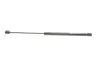 MAGNETI MARELLI Амортизатор багажника FORD SIERRA L, GL, Magneti Marelli 430719025200 (фото 3)