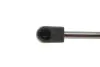 MAGNETI MARELLI AUDI газовий амортизатор багажника A3 Sportback -13 Magneti Marelli 430719081500 (фото 3)