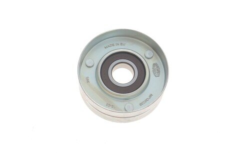 FORD Натяжной ролик Escort magneti Marelli 331316170239