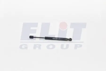 MAGNETI MARELLI газовий амортизатор BMW SERIA 7(F01,F02,F03,F04) magneti marelli GS1021 Бмв 7 серии