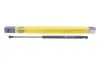 MAGNETI MARELLI газовий амортизатор (GAS SPRING) RENAULT MEGANE SCENIC 99 09/99-06/03 TAILGATES WINDOW - MINIVAN [] Magneti Marelli 430719015200 (фото 2)