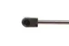 MAGNETI MARELLI газовый амортизатор багажника TOYOTA YARIS 06- magneti marelli 430719084200