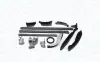 MAGNETI MARELLI HYUNDAI К-кт ланцюга ГРМ (3 ланцюга+ 7 напрвляючих +3 натягувача+сальник) H-1, Kia Sorento 2.5CRDI 02- magneti marelli 341500000410