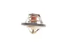 MAGNETI MARELLI OPEL Термостат Astra,Corsa,Kadett E,Astra,Vectra Magneti Marelli 352317100860 (фото 1)