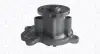 Водяная помпа (насос) magneti marelli 352316170833