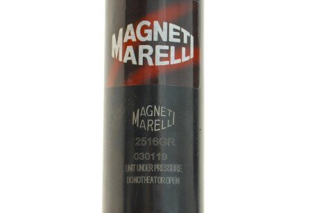 Передний амортизатор (стойка) magneti Marelli 352516070100
