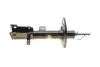 Передний амортизатор (стойка) magneti marelli 357095070100