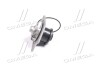 Помпа водяна WPQ0101 (MagnetiMarelli) magneti Marelli 352316170101