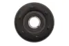 Ролик модуля натягувача ременя Magneti Marelli 331316170177 (фото 1)