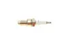Свічка запалювання AUDI 100, 80, SEAT, SKODA FELICIA, VW GOLF (вир-во MAGNETI MARELLI) magneti marelli 062709000025