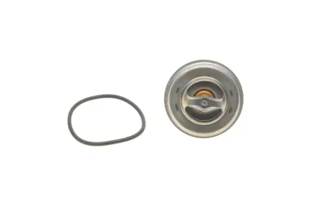 Термостат Magneti Marelli 352317002370