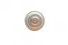 Термостат magneti marelli 352317100900