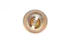 Термостат magneti marelli 352317100900