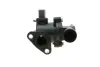Термостат magneti marelli 352317102100