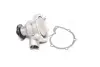 Водяная помпа (насос) magneti marelli 352316170039