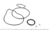 Водяная помпа (насос) magneti marelli 352316170385