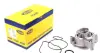 Водяная помпа (насос) magneti marelli 352316170385