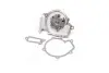 Водяная помпа (насос) magneti marelli 352316170775