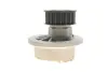 Водяная помпа (насос) magneti marelli 352316170845