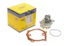 Водяная помпа (насос) magneti marelli 352316170876