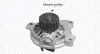 Водяная помпа (насос) magneti marelli 352316171172