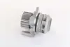 Водяная помпа (насос) magneti marelli 352316171180