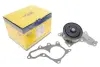 Водяная помпа (насос) magneti marelli 352316171324