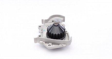 WPQ0961 Водяной насос magneti Marelli 352316170961