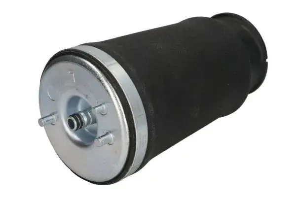 Пневмоподушка Magnum MZB010MT (фото 1)