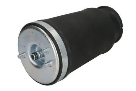 Пневмоподушка Magnum MZB010MT