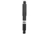 Задній амортизатор (стойка) Magnum AGY039MT (фото 1)