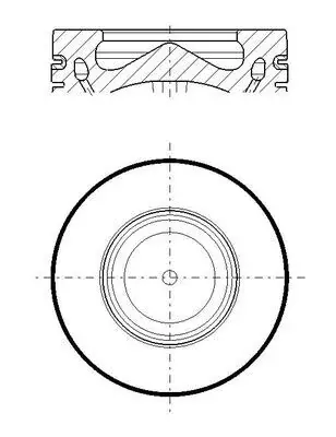 Поршень Mahle knecht 081 PI 00119 000 (фото 1)