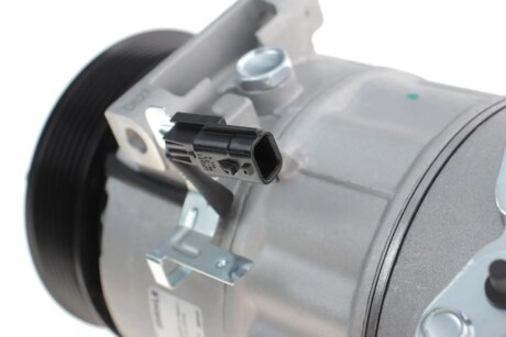 Компрессор кондиционера mahle knecht ACP610000S