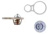Термостат mahle knecht TX25591