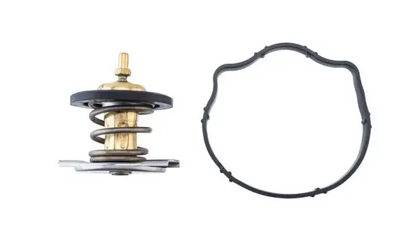 Термостат Mahle knecht TX 494 87D (фото 1)