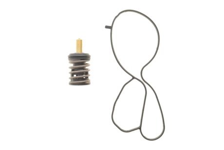 Термостат mahle knecht TX49587D на Шкода Fabia 4