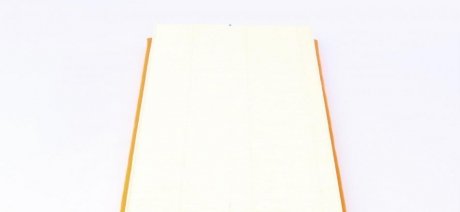 Фільтр повітря mahle knecht LX31961