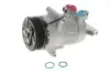 Компресор кондиціонера Mahle knecht ACP 1361 000S (фото 1)