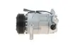 Компресор кондиціонера mahle knecht ACP605000S