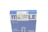 Поршневые кольца Mahle knecht 00136N2 (фото 3)