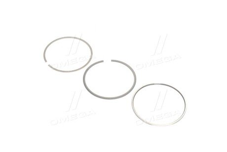 Поршневые кольца mahle knecht 00219N0