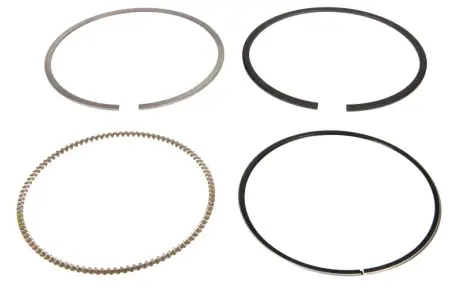 Поршневые кольца mahle knecht 02210N0 Рено Vel Satis