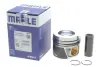 Поршневые кольца mahle knecht 028PI00100002