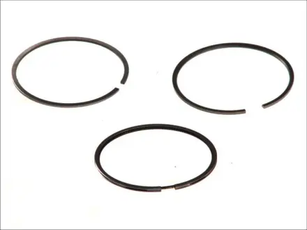 Поршневые кольца Mahle knecht 029 55 N0