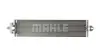 Радіатор масляний Mahle knecht CLC49000P (фото 4)