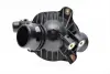 Термостат BMW (пр-во Mahle) mahle knecht TM1497